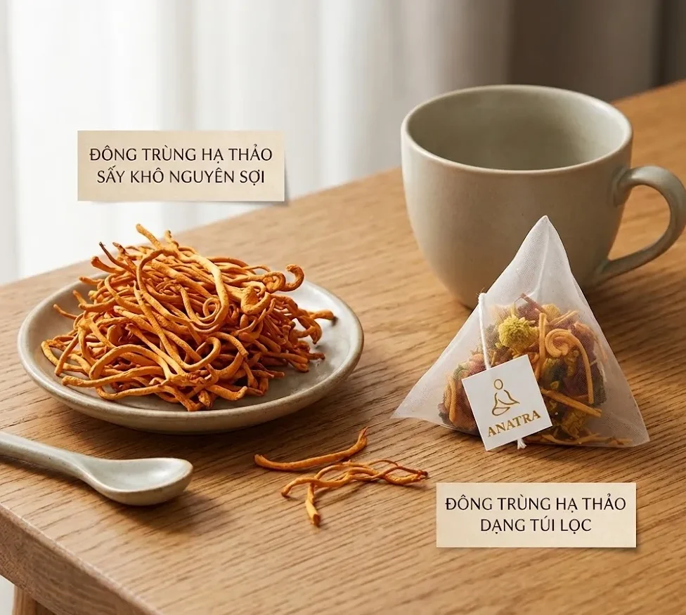 uống trà đông trùng hạ thảo đúng cách